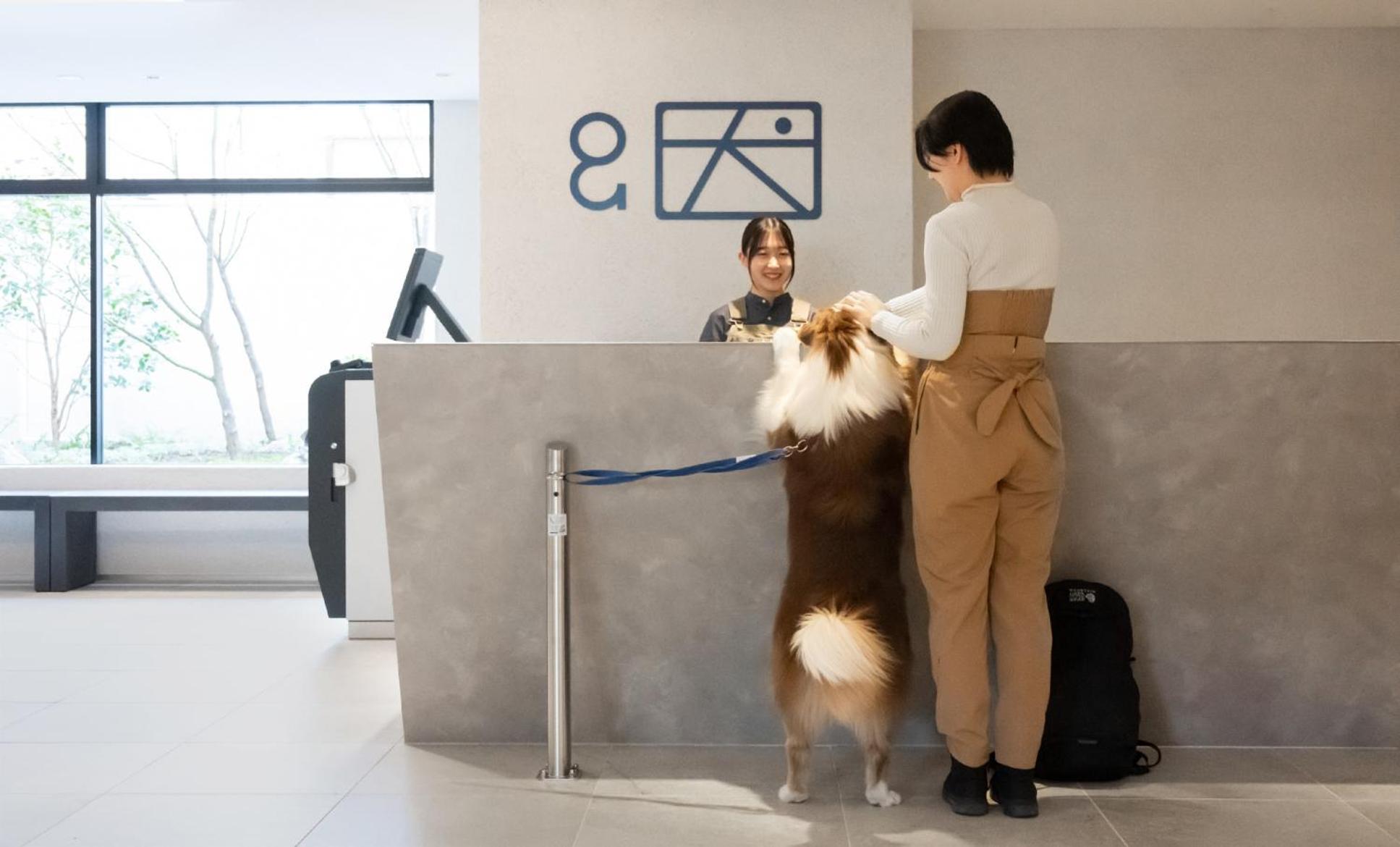 Hotel Anddoggy Kyoto Nijo Экстерьер фото