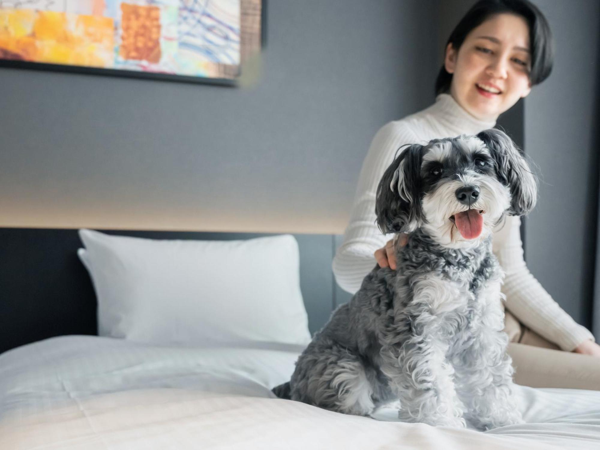 Hotel Anddoggy Kyoto Nijo Экстерьер фото