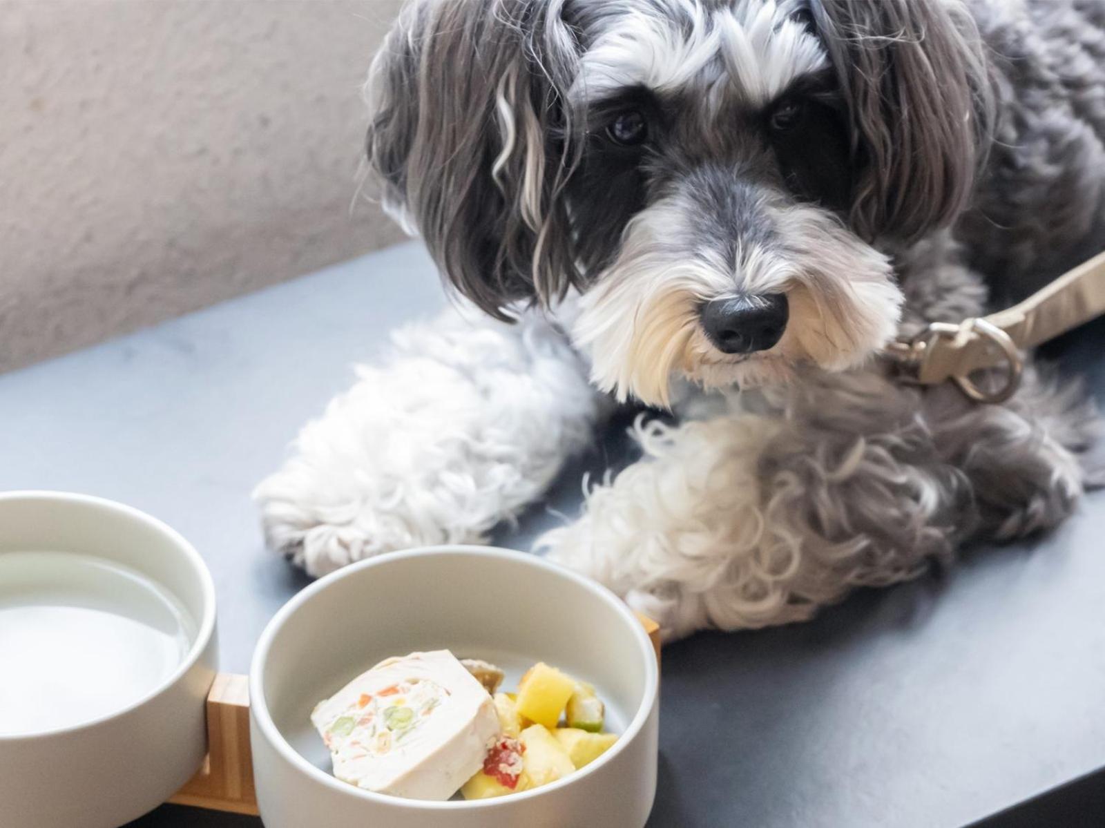 Hotel Anddoggy Kyoto Nijo Экстерьер фото