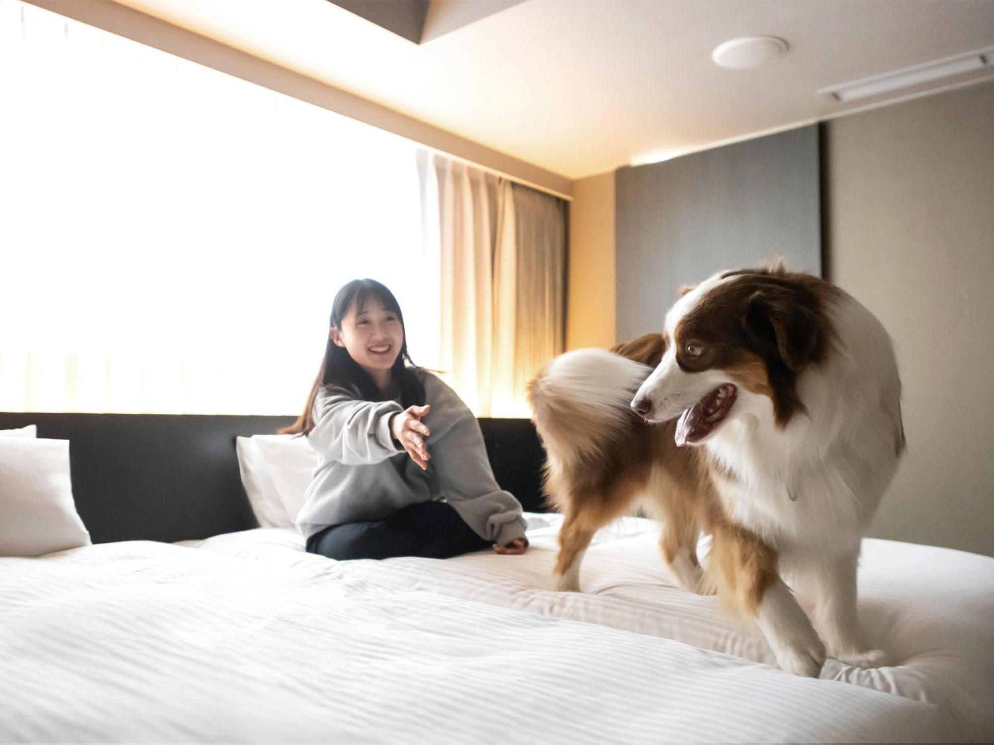 Hotel Anddoggy Kyoto Nijo Экстерьер фото
